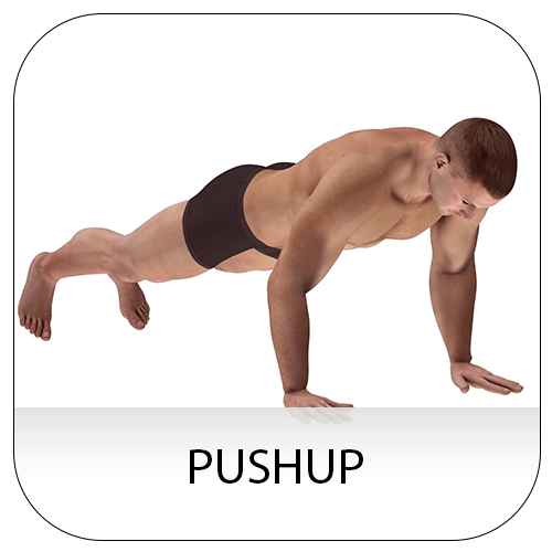  Pushup